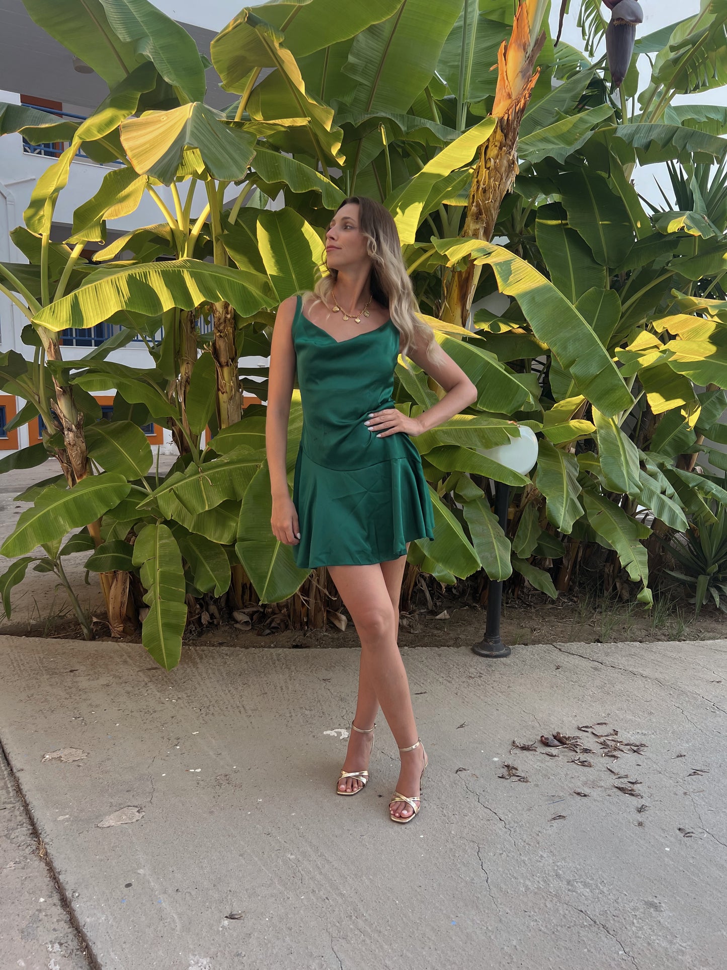 Dress Leo